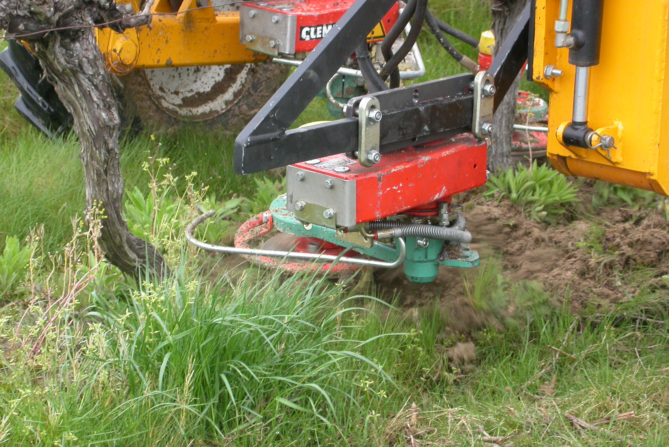 Mechanical weeding under the vine row