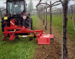 Mechanical weeding in vineyards