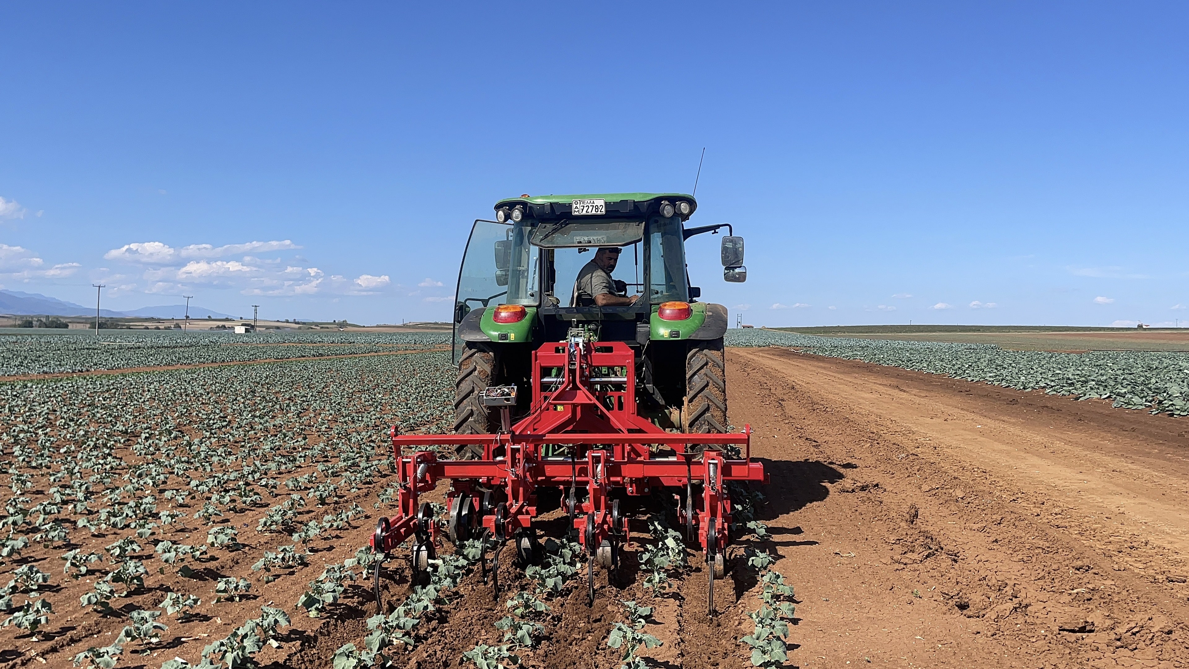 Mechanical weeding in outdoor horticulture